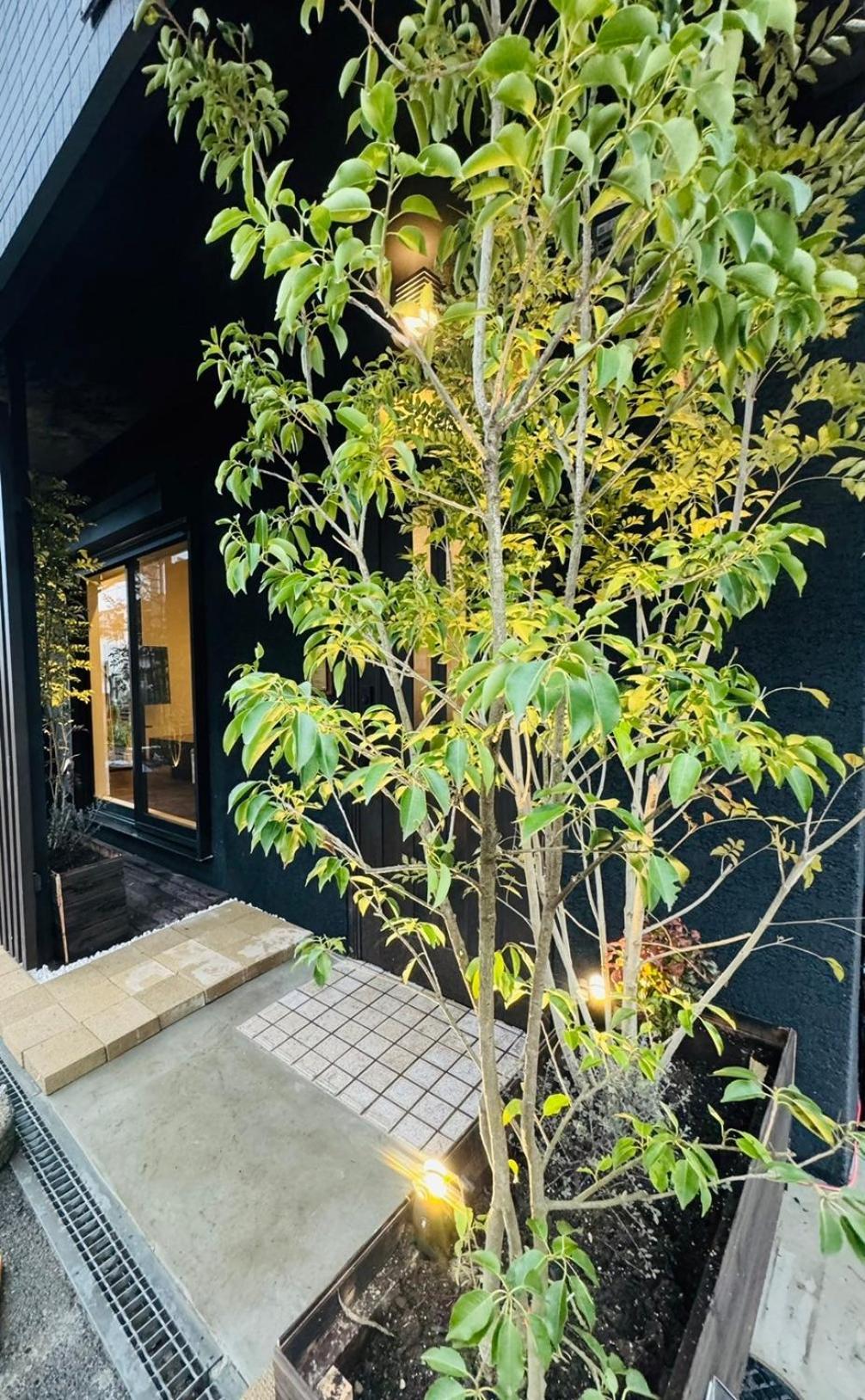 Tengachaya House 度假居 *